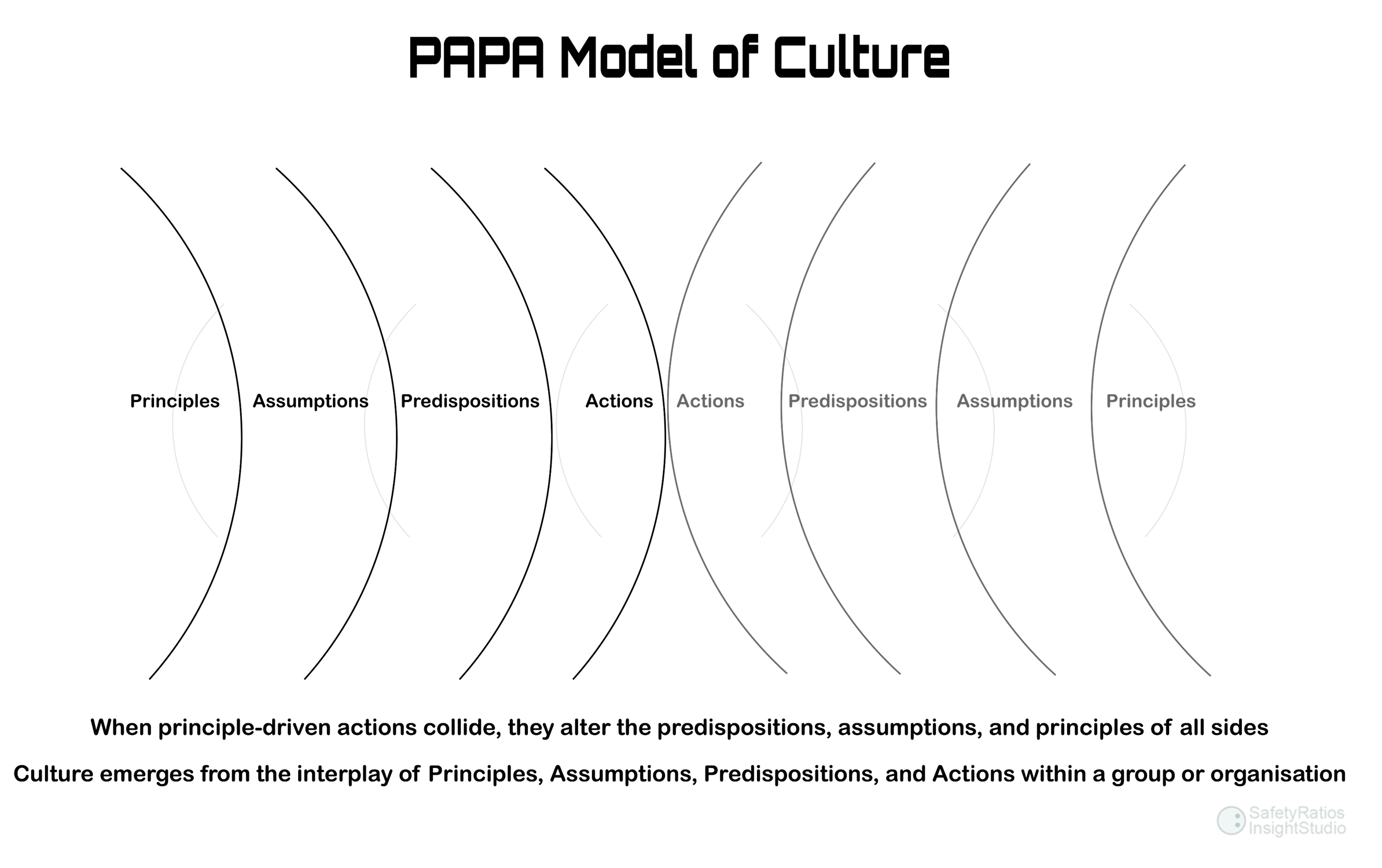 PAPA model of culture